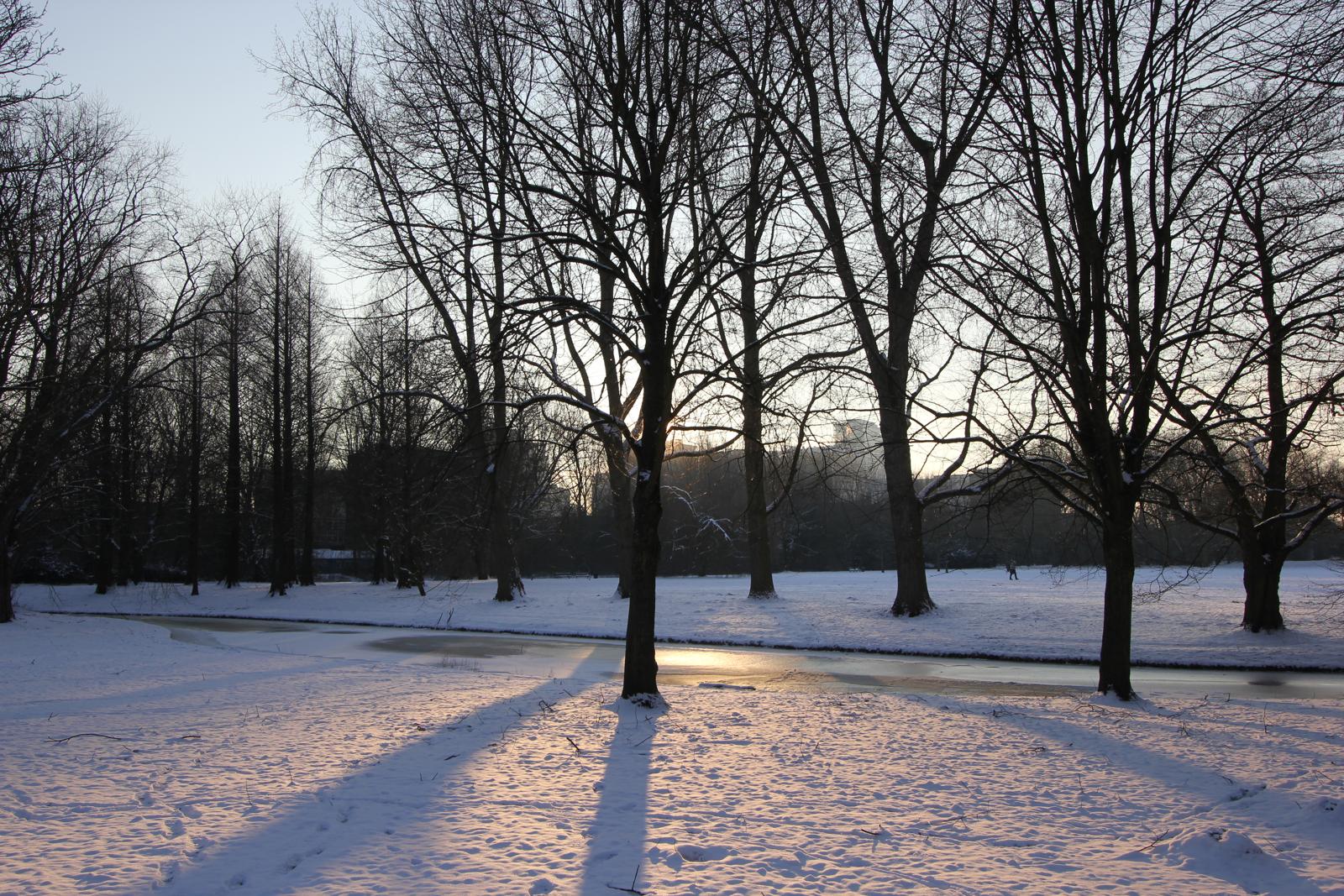 Frozen Park