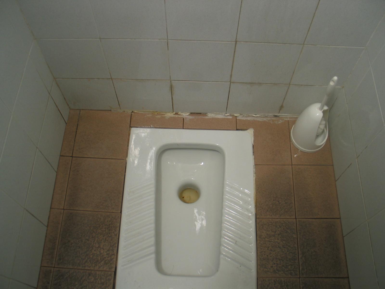 This is what they call a toilet
