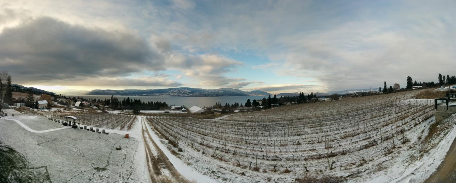 The view from Pyramid Winery