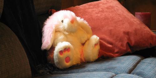 a fluffy bunny