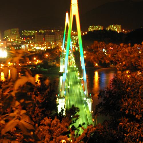 The Dolsan bridge at night