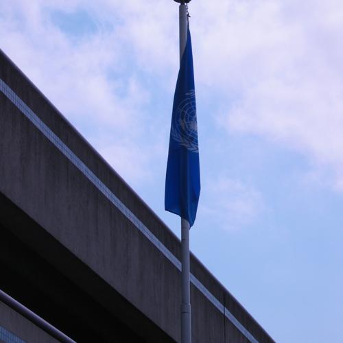 the un flag