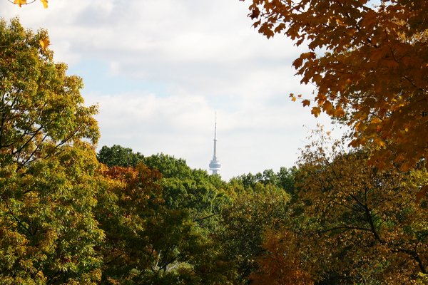 High Park In Autumn