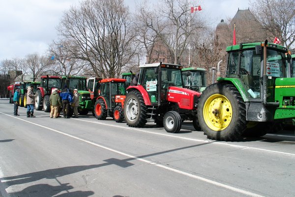 All the Tractors, All Lined Up