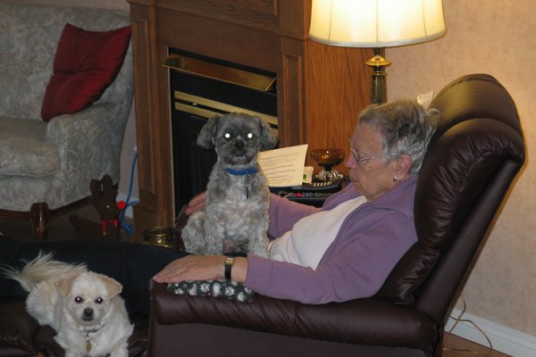 My Grandmother And The Puppies