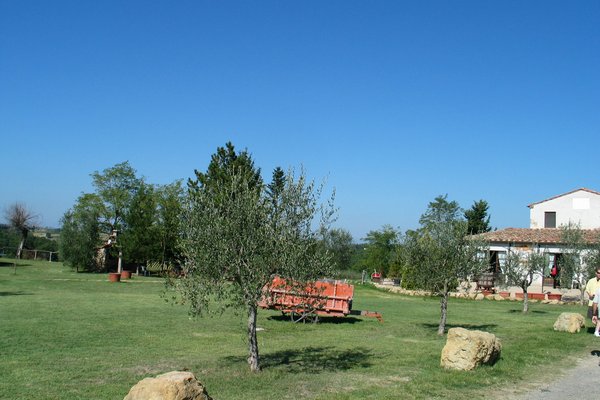 The view from the farmhouse
