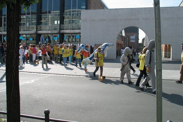 A dolphin protest