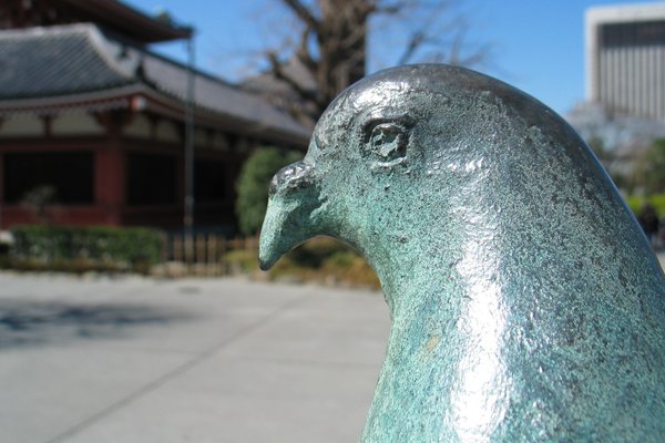 A pigeon statue