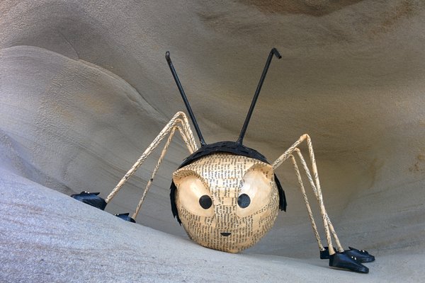 Bug Art