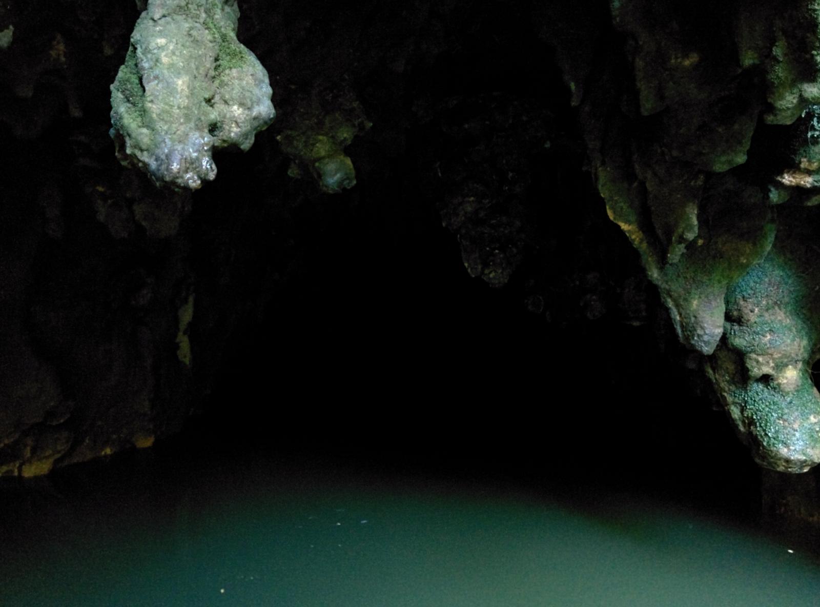 The Waitomo Caves