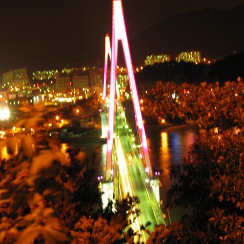 The Dolsan bridge at night