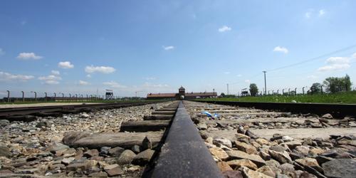 Birkenau rails