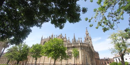 The Seville Cathedral... maybe?