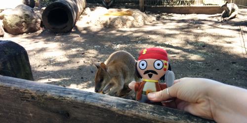 Jack and a Kangaroo