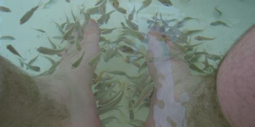 Feet-eating fish!