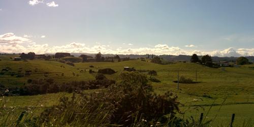 Somewhere between Waitomo and Rotorua