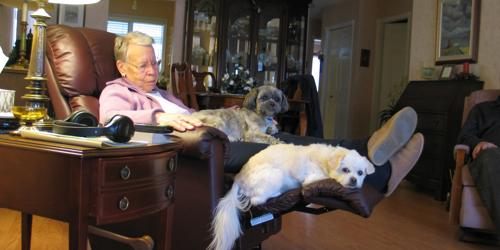 My Grandmother And The Puppies