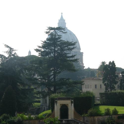 The Vatican gardens